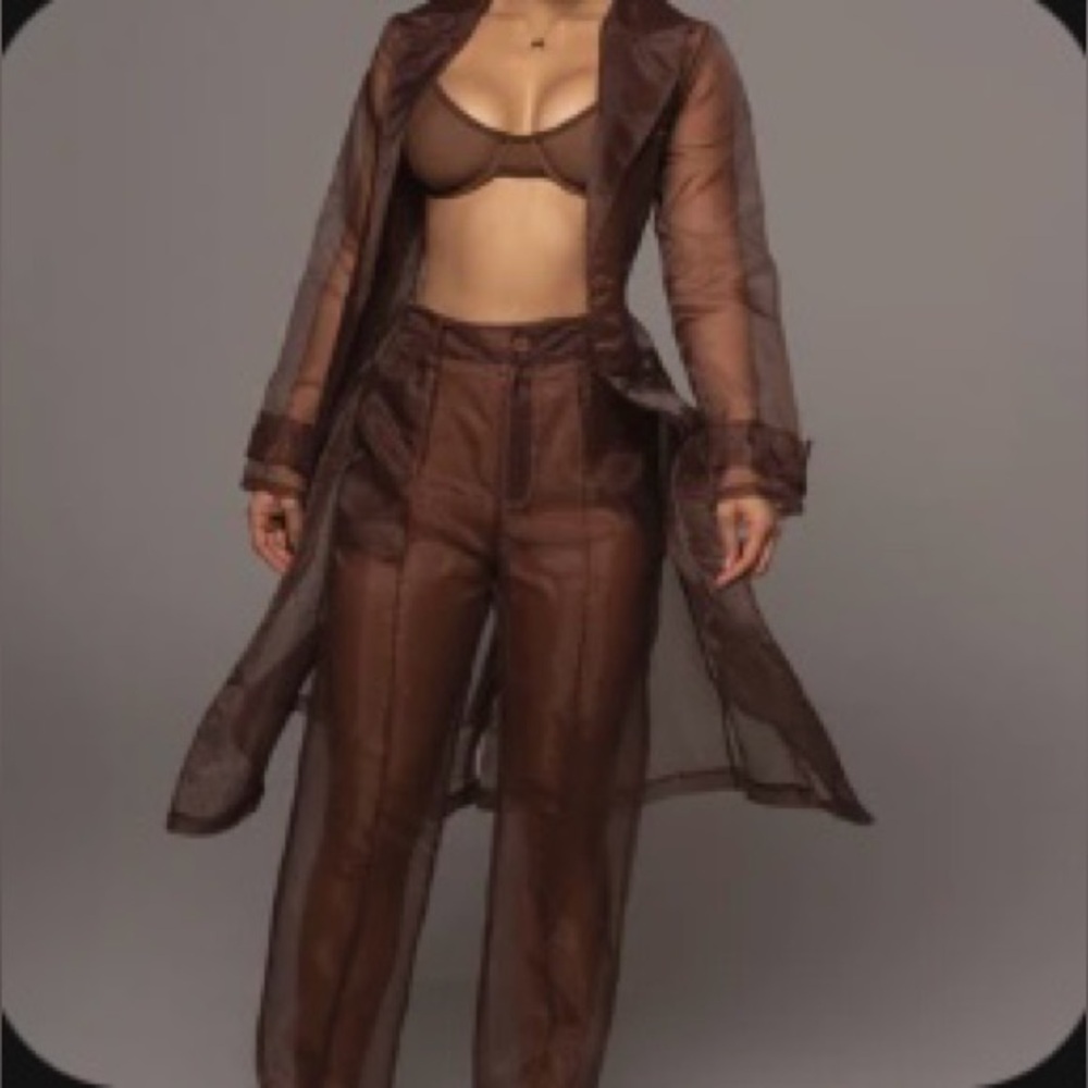 JLUXLABEL Sheer Organza Pants